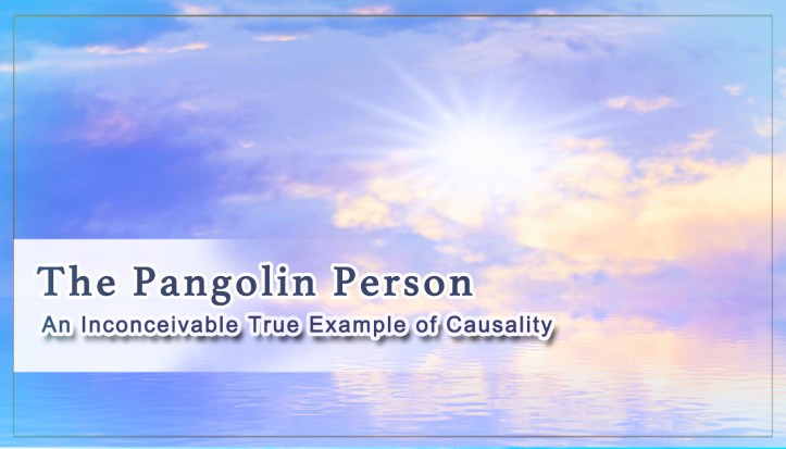 The Pangolin Person