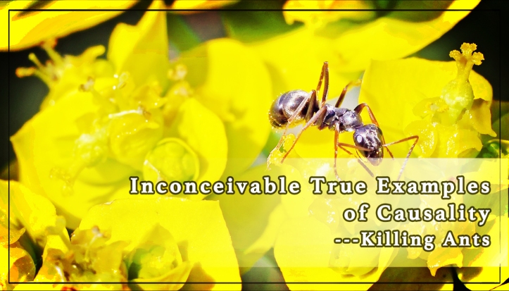 Inconceivable True Examples of Causality ---killing Ants