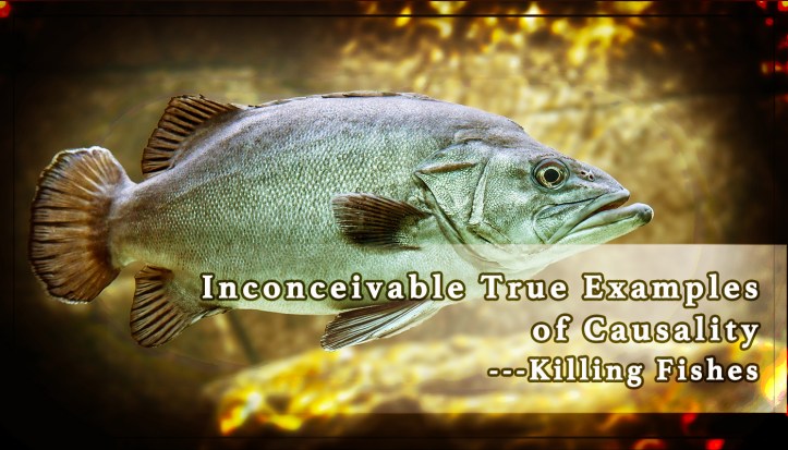 Inconceivable True Examples of Causality ---Killing Fishes